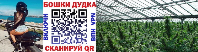  Кокаин Малмыж