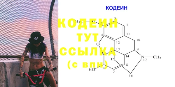 гидра Верея