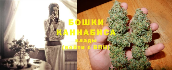 гидра Верея