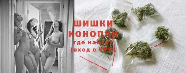 гидра Верея