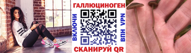 что такое   Малмыж  Псилоцибиновые грибы мухоморы 